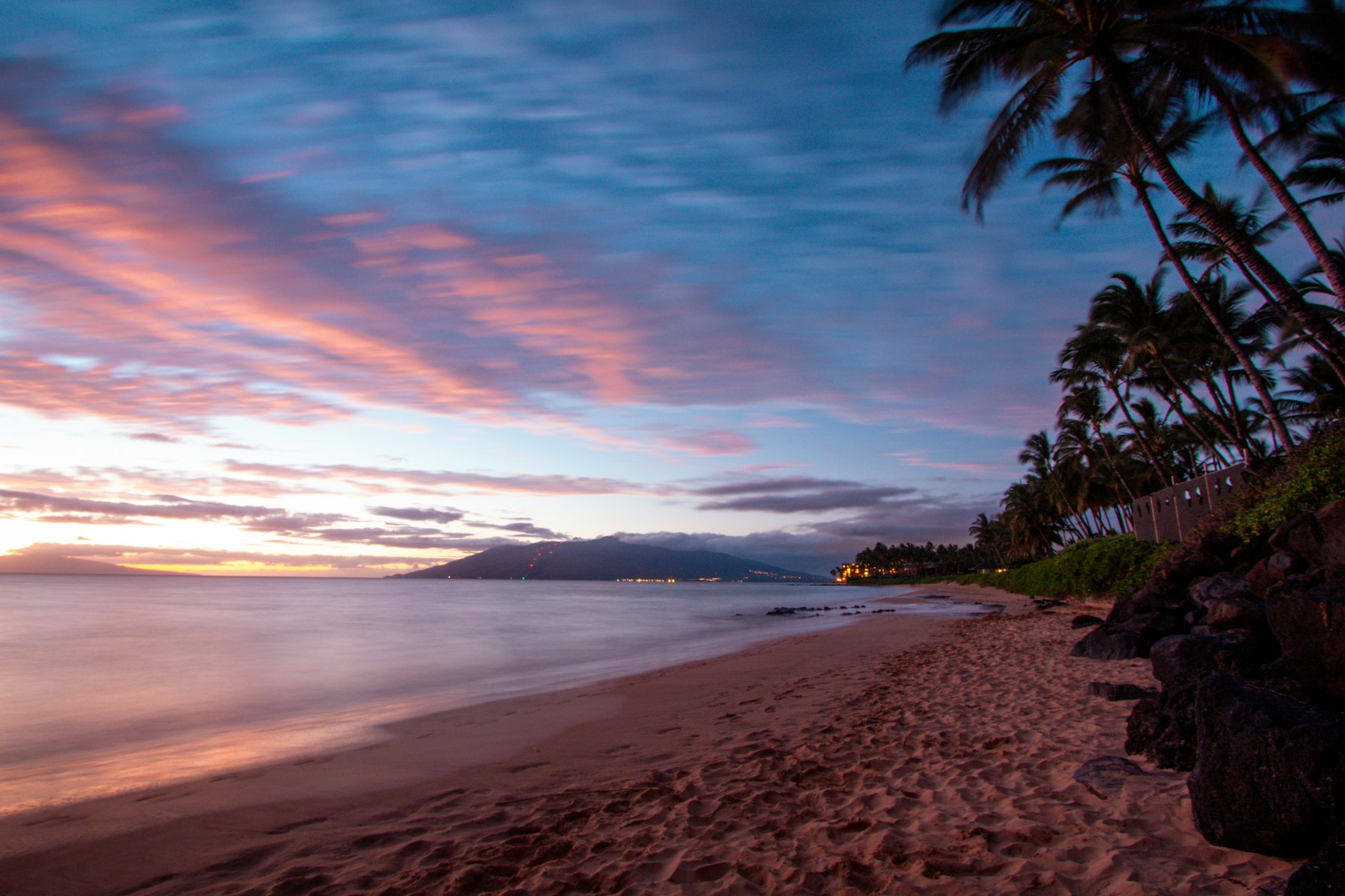 Zonnige strandsetting met palmbomen en zomerlicht